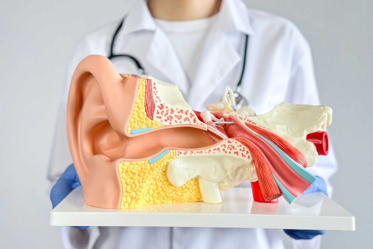 auditory processing disorder adults